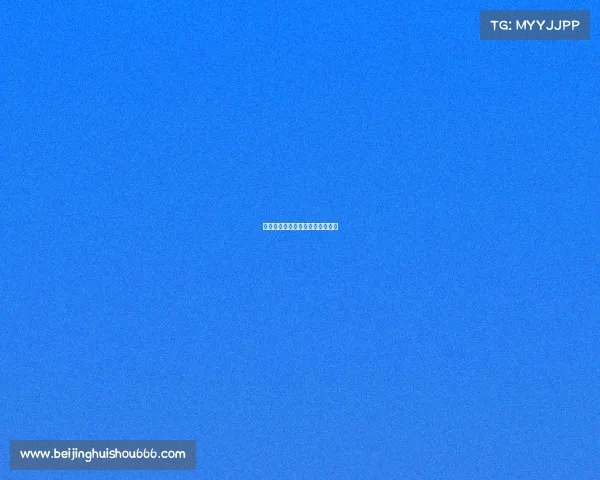 巾帼竞巅峰：指尖战场的别样芳华