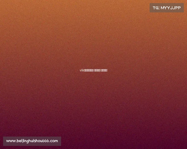 vlk电子竞技王者 电子竞技 王者荣耀