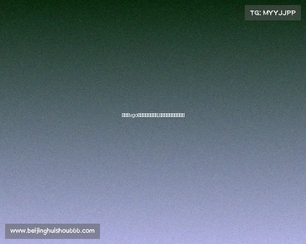 泉州市vgo电子竞技有限公司,泉州电子职业技术学院